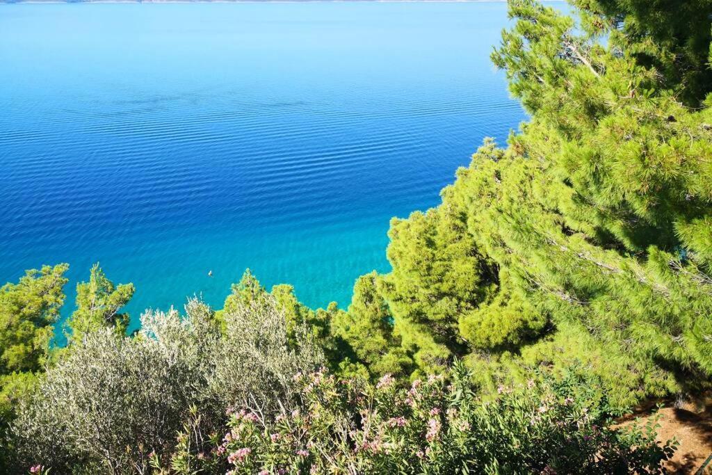 Beautiful Apartment 80 M From The Sea Marusici  Exteriér fotografie
